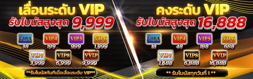 โบนัสเลื่อนขั้นVIP